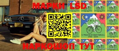 сатива Краснознаменск