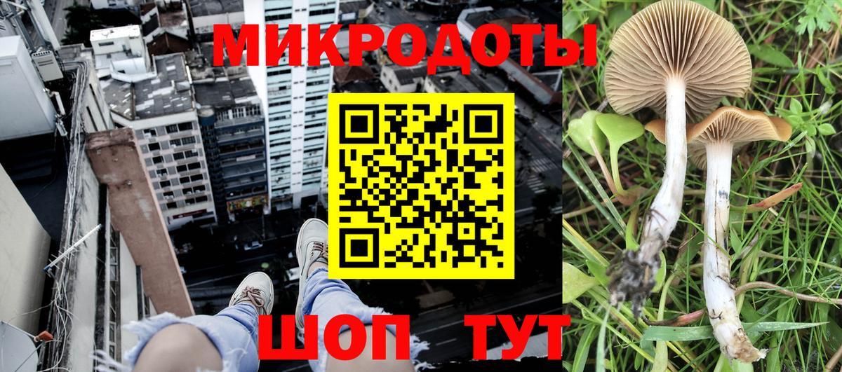 Псилоцибиновые грибы Psilocybine cubensis  Галлюциногенные грибы мицелий  Вход с VPN  Донской 